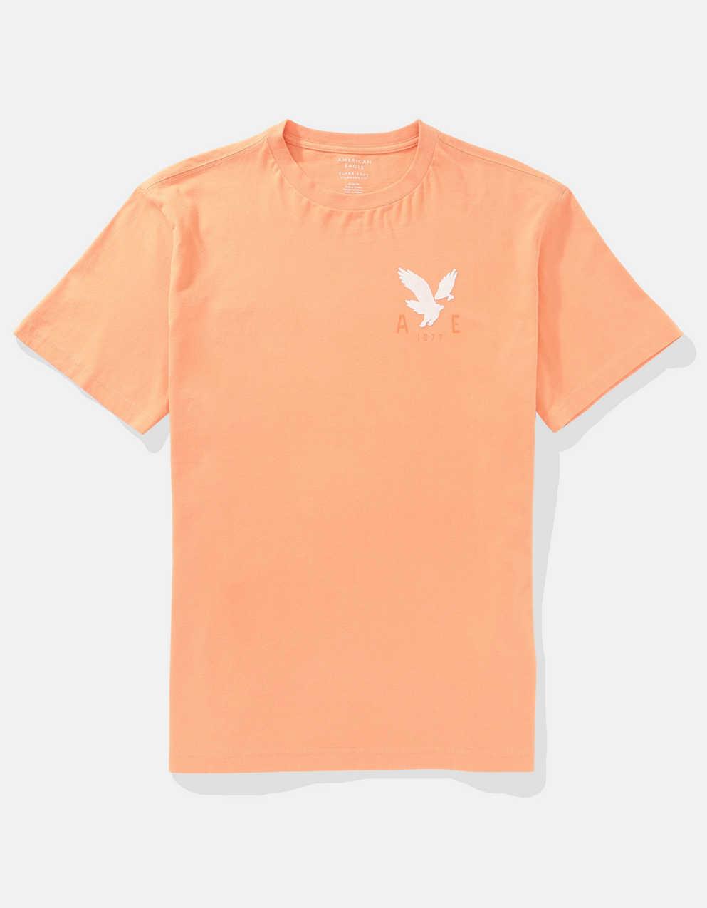 AE Logo Graphic T-Shirt | Men's & Women's Jeans, Clothes