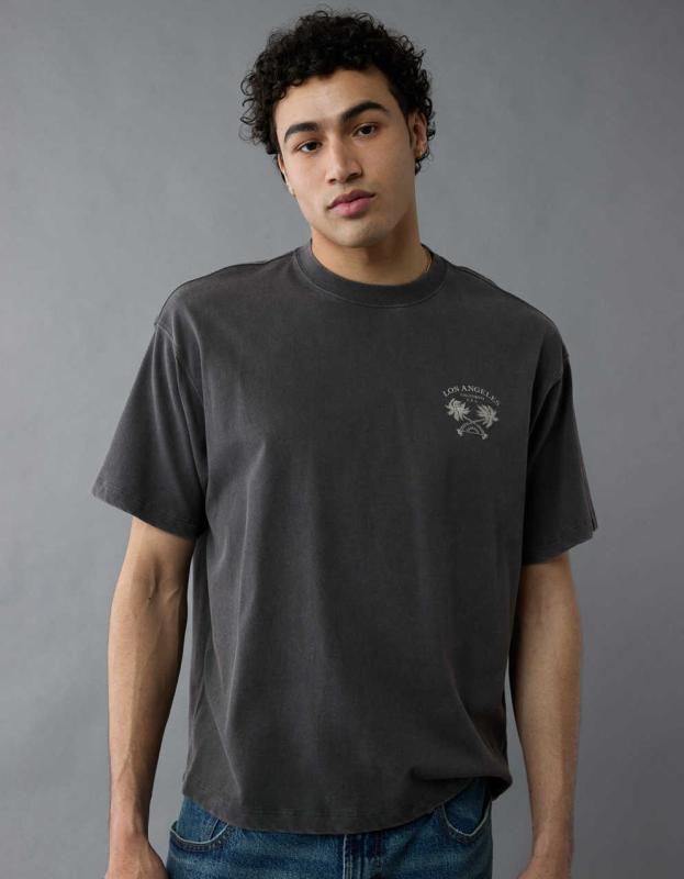 AEボクシー・デスティネーション・グラフィックTシャツ | メンズ 