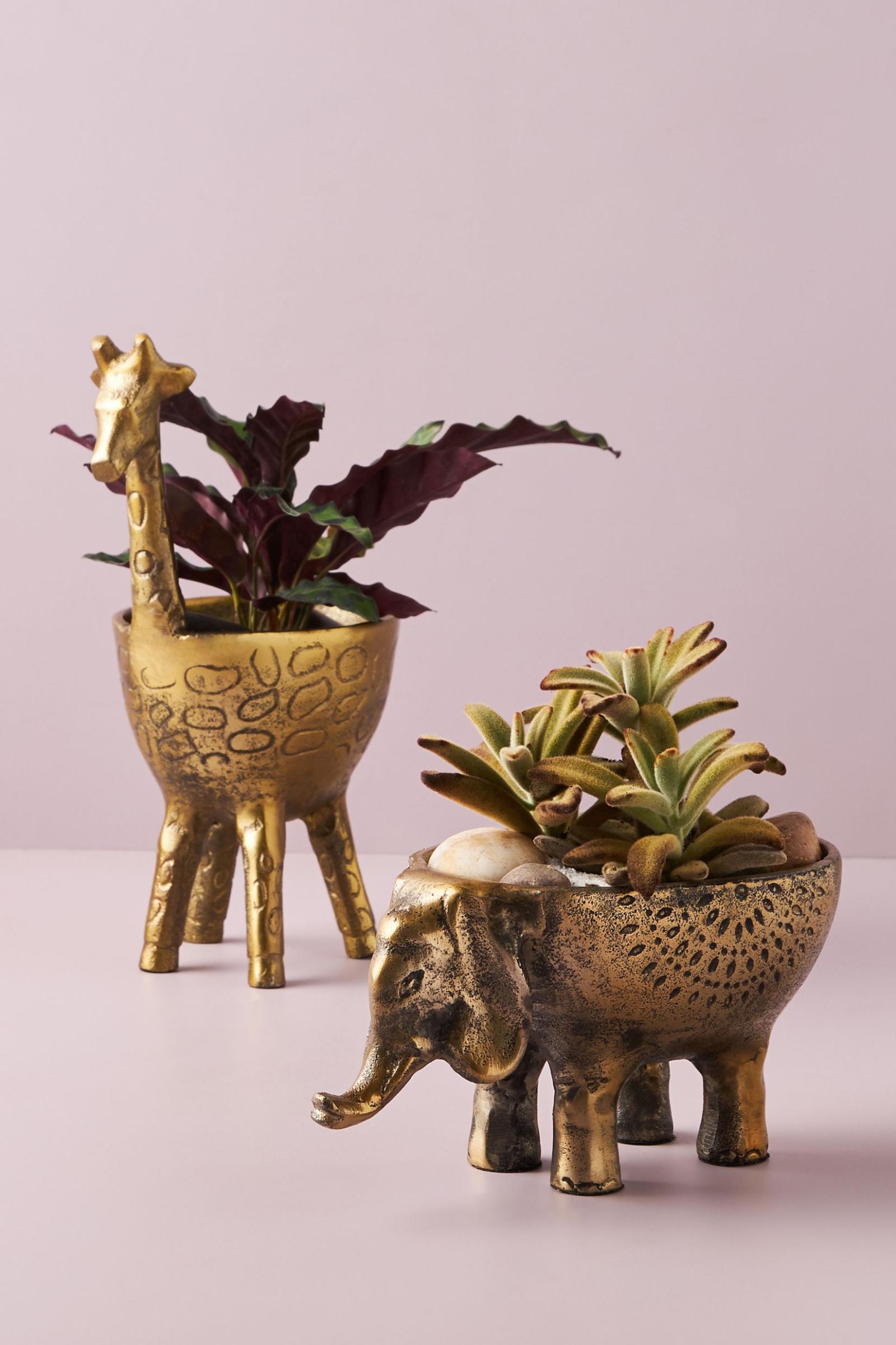 Ezzie Elephant Planter Anthropologie Singapore