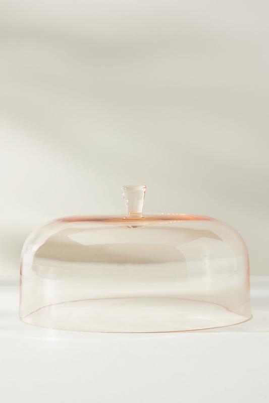 Cake Stand With Dome Anthropologie Clearance head.hesge.ch