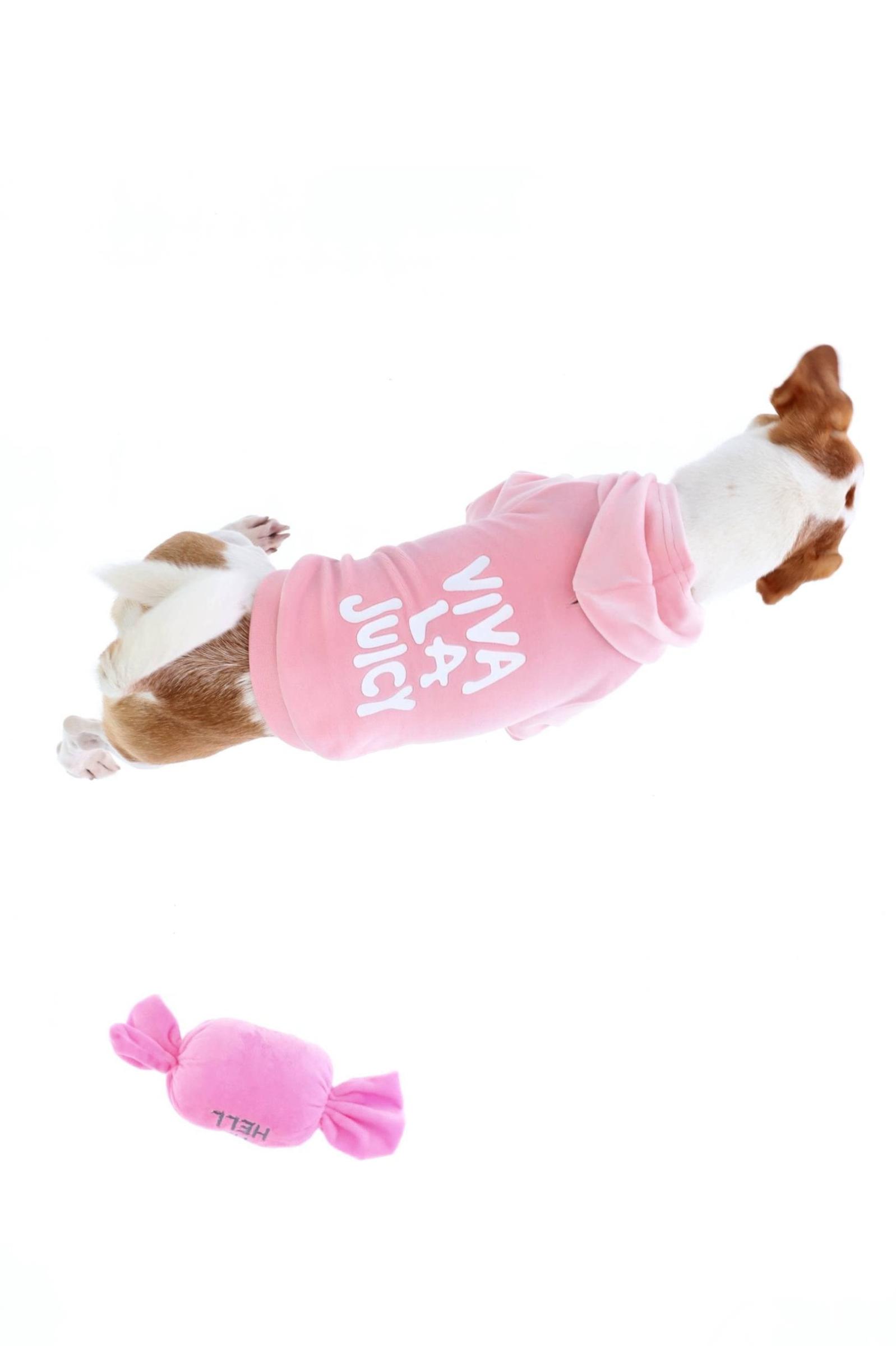 Juicy Pink Slogan Printed Pet Hoodie | Juicy Couture Germany