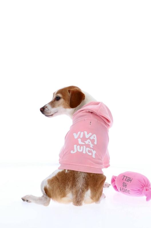 JUICY COUTURE PET | Juicy Couture Czechia