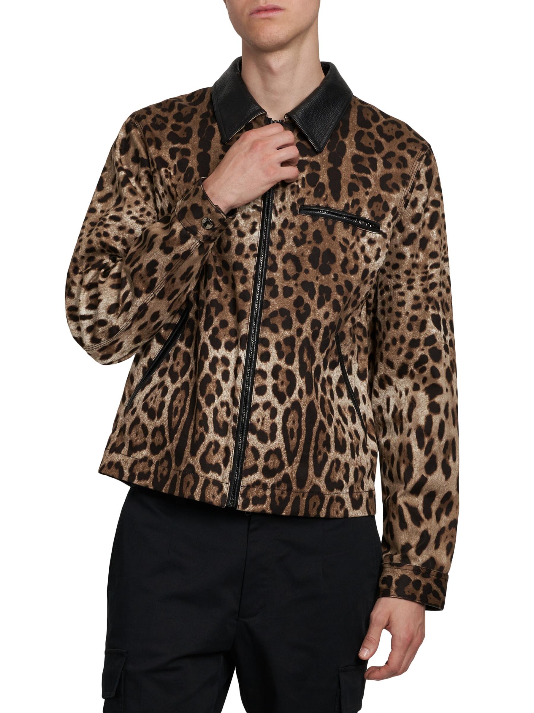極美品 DOLCE＆GABBANA ストレッチジャケット 38 レオパード スタンドカラーストレッチジャケット セットアップ(テーラード