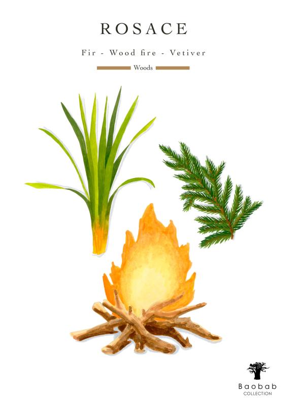 #4: شمعة روساس - متعدد