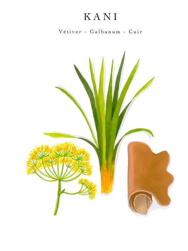 #4: شمعة كاني ذات 4 فتلات من ساكريد تريز - NO COLOR