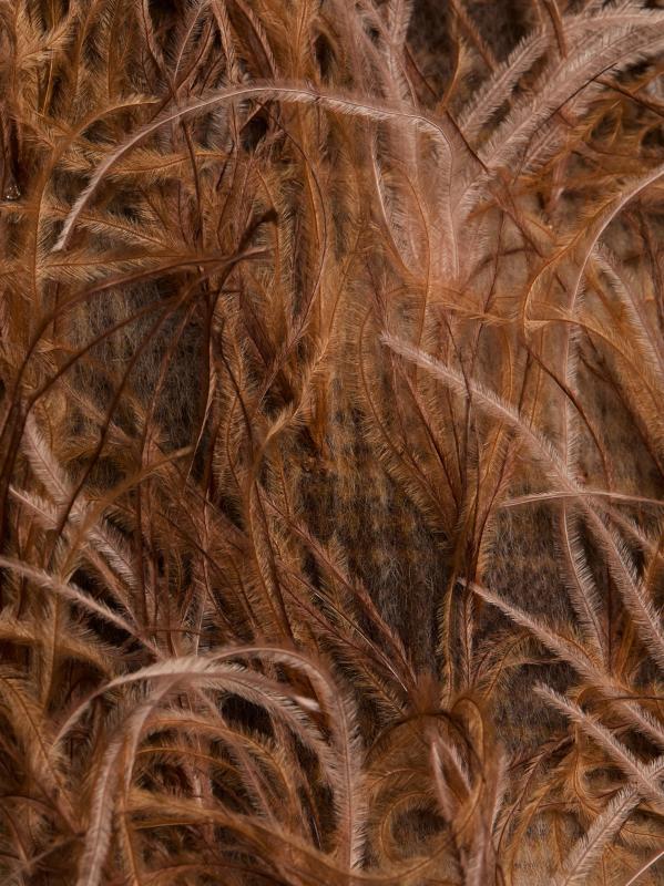 #6: معطف منقوش بالريش - إسبرسو مالتي