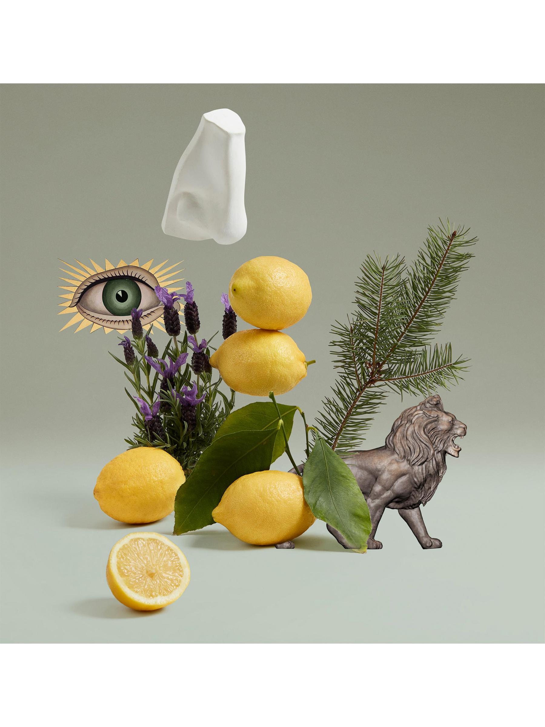 【サムchan】PENHALIGON'S BLENHEIM BOUQUET Penhaligon's - Blenheim Bouquet