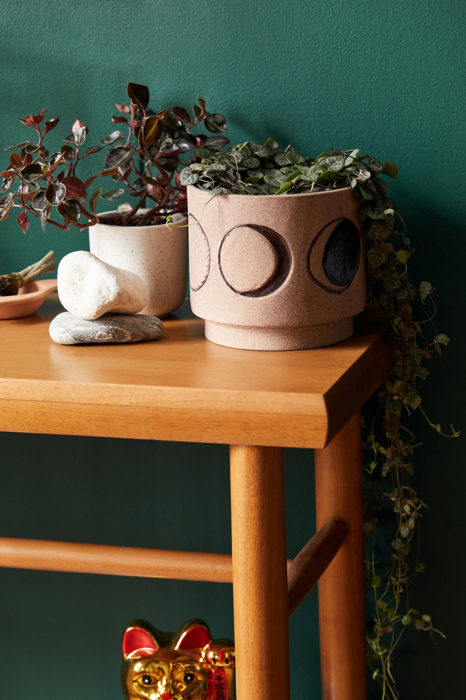 Moon Phase Planter Urban Outfitters Singapore