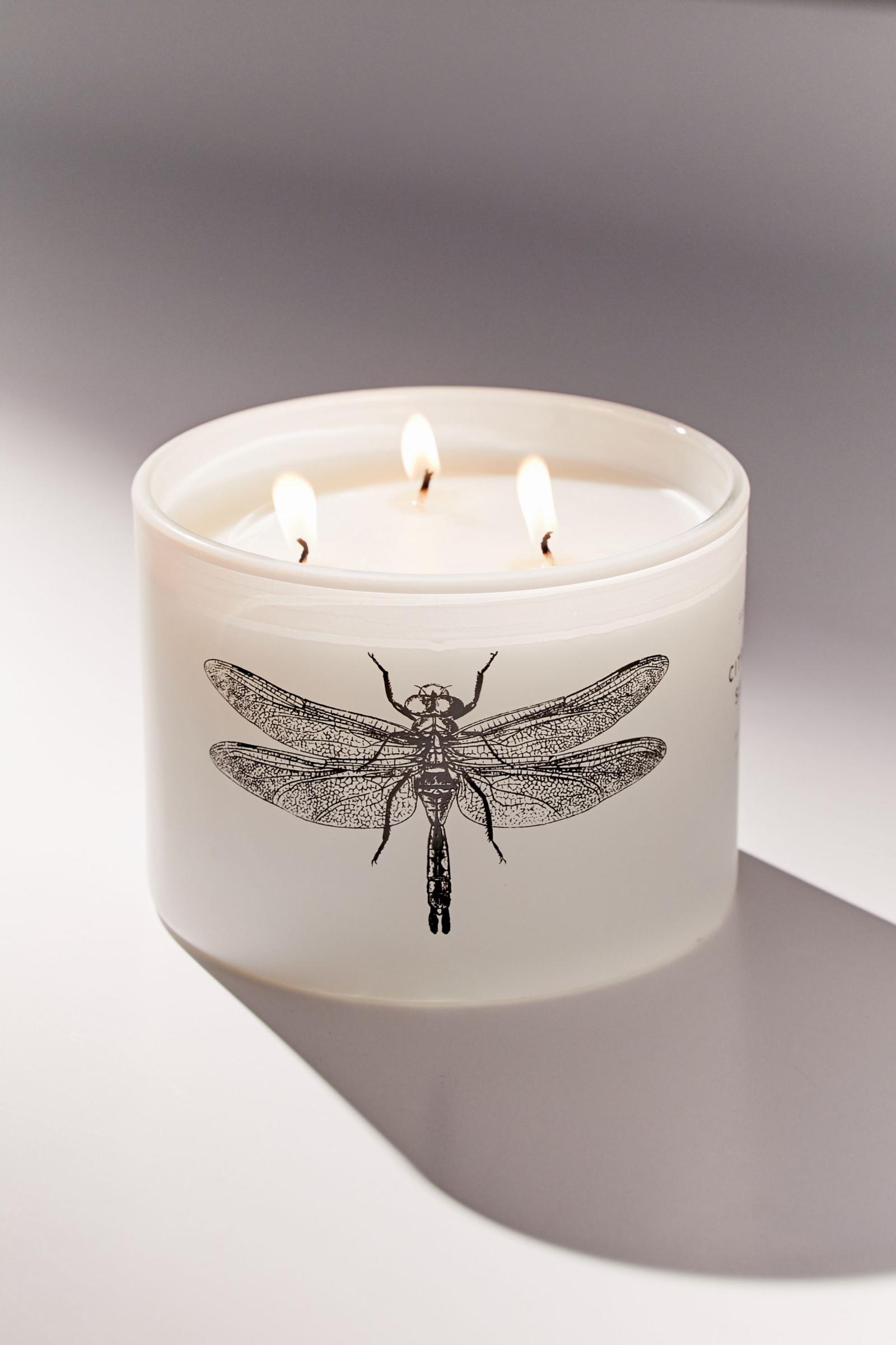 Citronella Candle Urban Outfitters 日本