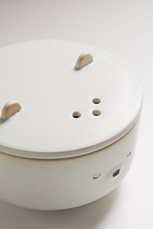 Callisto Veggie Steamer Urban Outfitters Australia