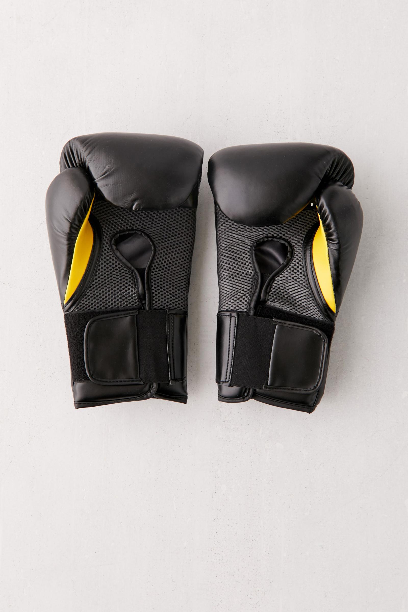 Everlast Elite Training 16 oz Boxing Glove Urban Outfitters Australia