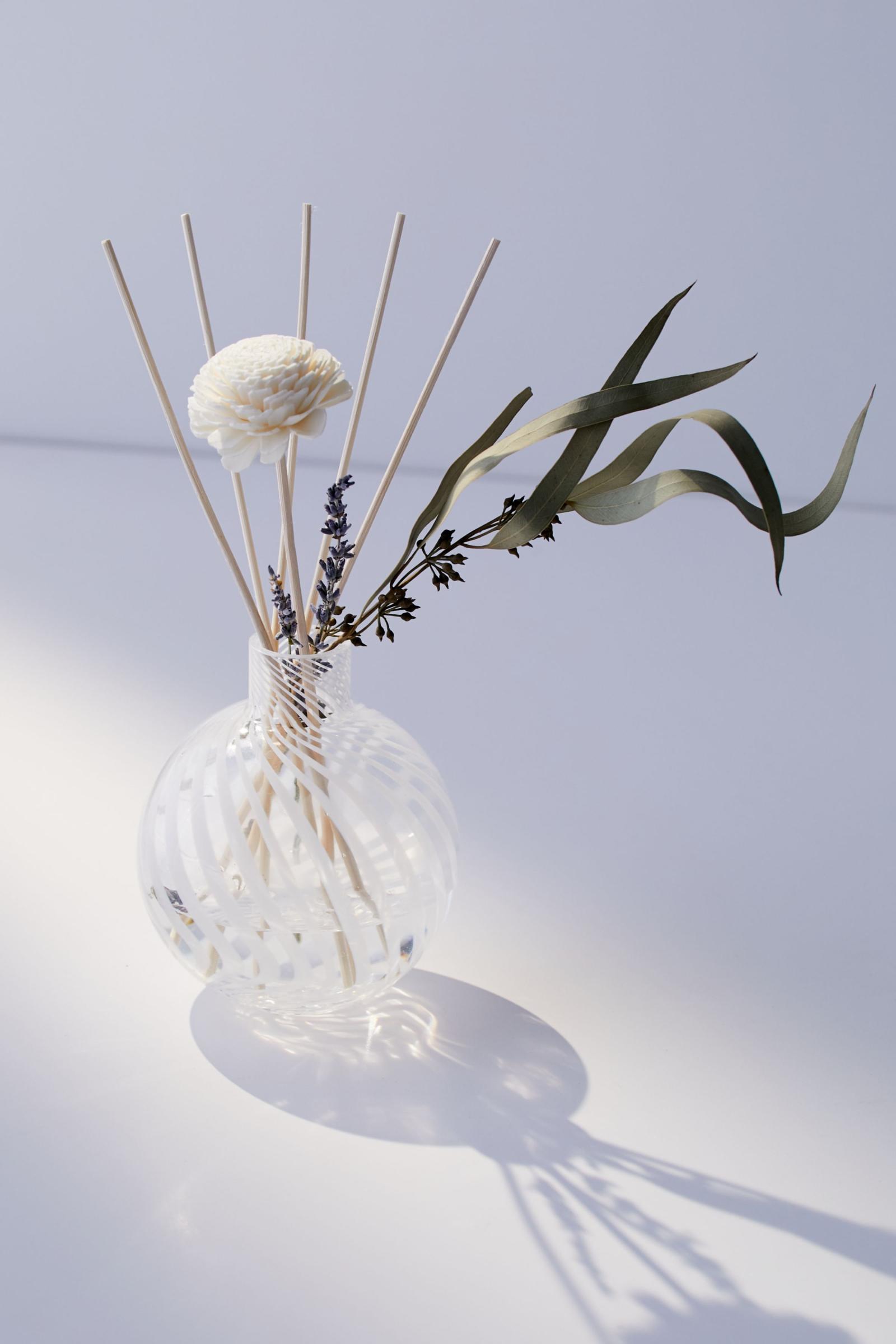 Swirl Reed Diffuser Urban Outfitters Singapore