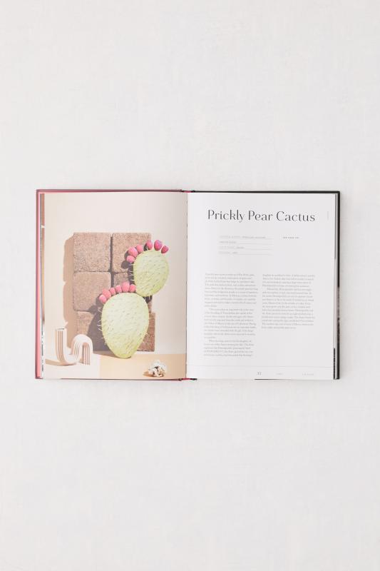 Paper Flowers Extraordinary Botanicals and How to Craft Them