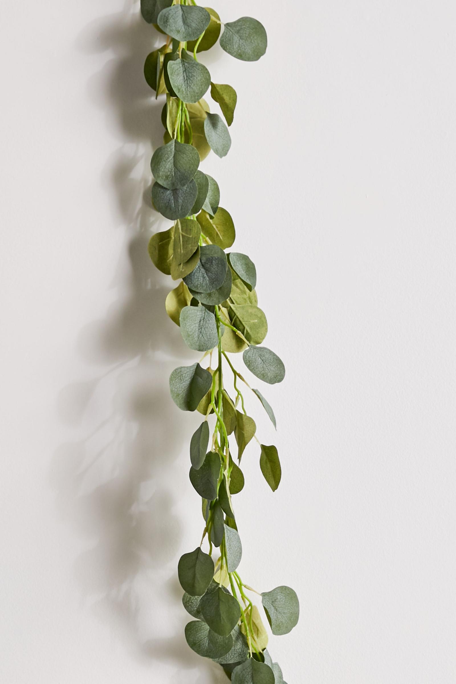 Eucalyptus Vine Garland Urban Outfitters Australia