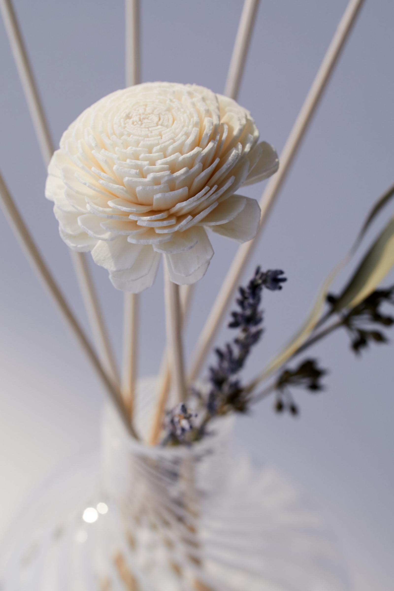 Swirl Reed Diffuser Urban Outfitters Singapore