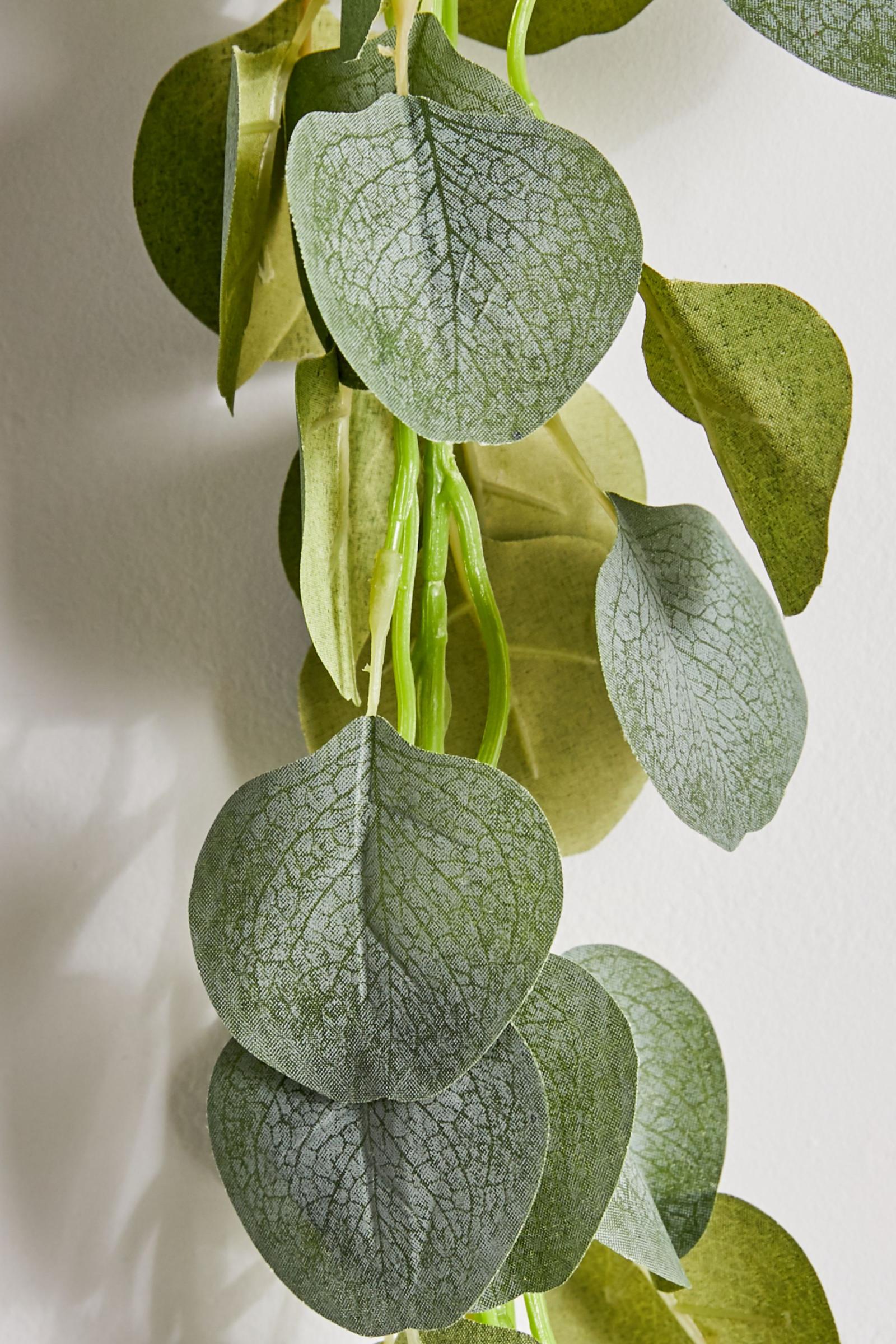 Eucalyptus Vine Garland Urban Outfitters Australia