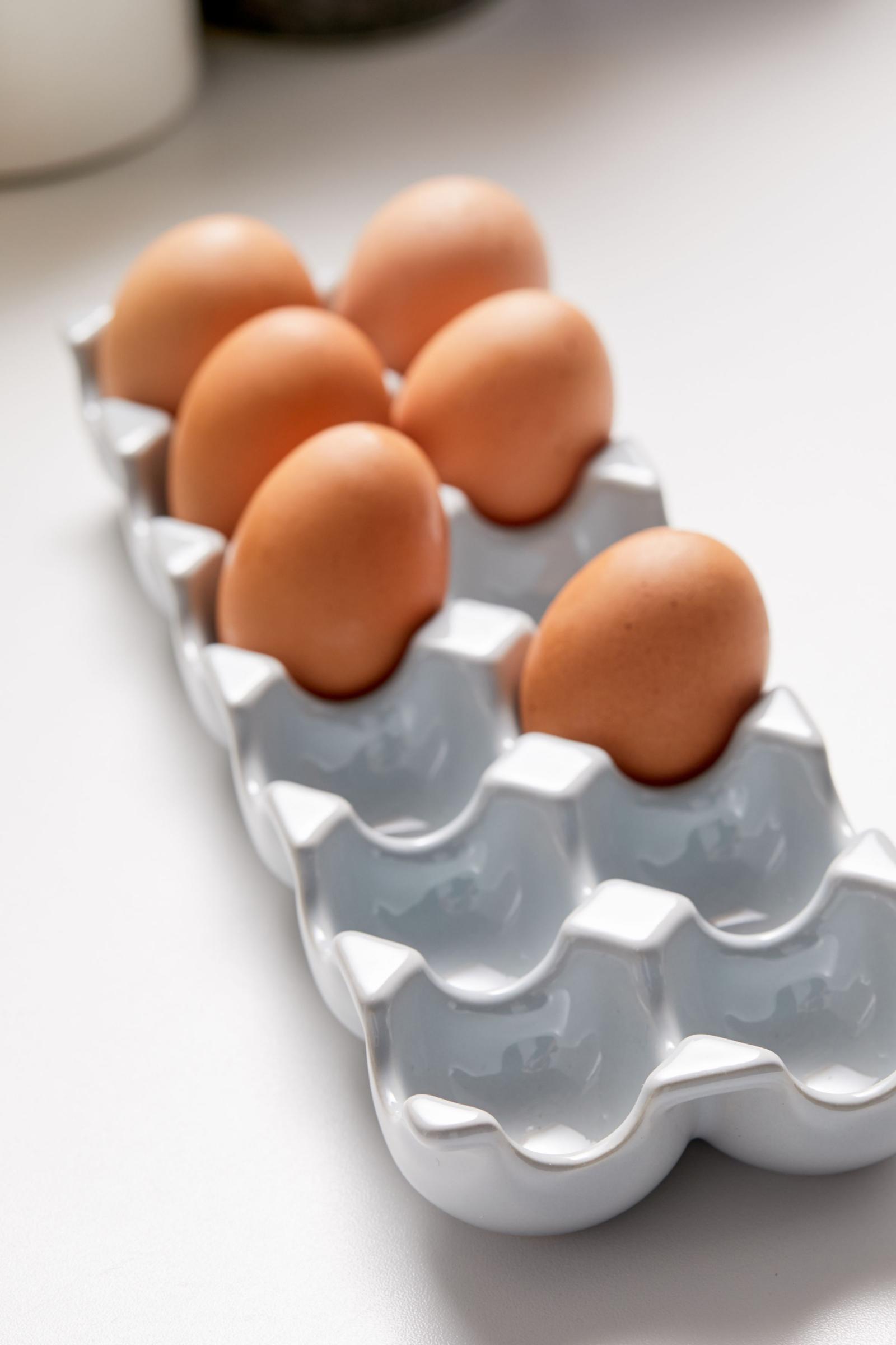 Ceramic Dozen Egg Tray Urban Outfitters 日本
