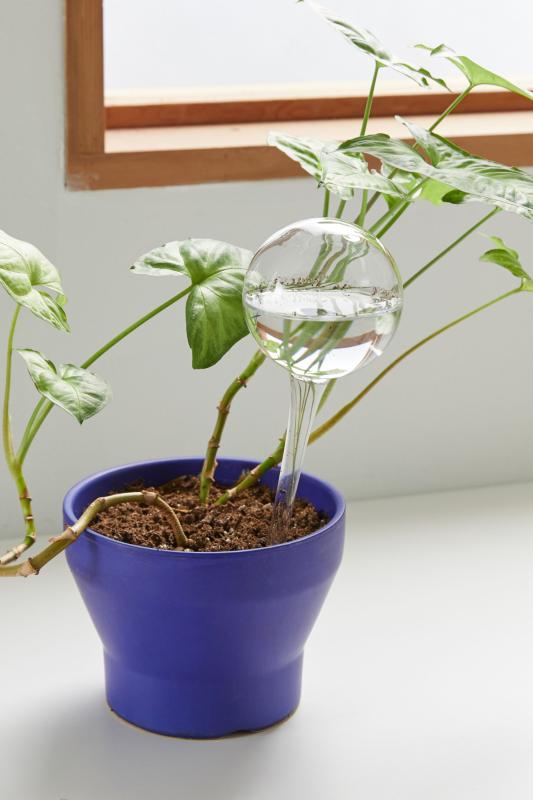 Watering Bulb Set Urban Outfitters Singapore
