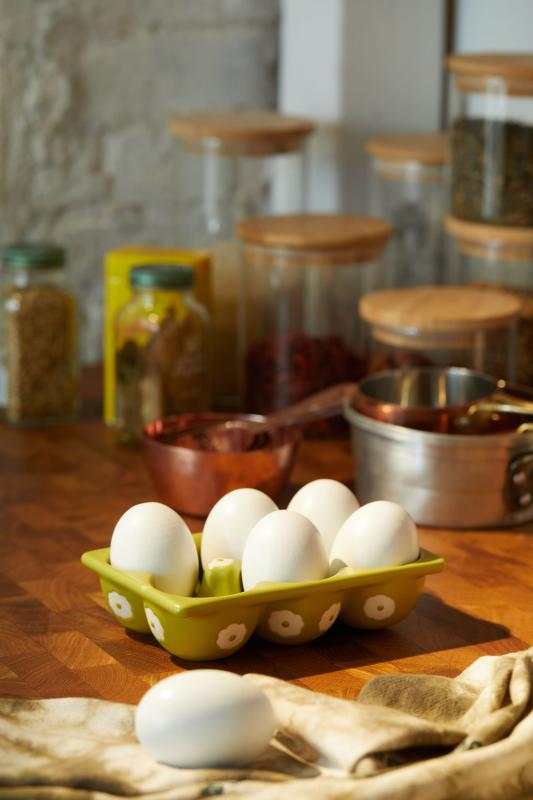 Pax Daisy Egg Tray Urban Outfitters Australia Official Site