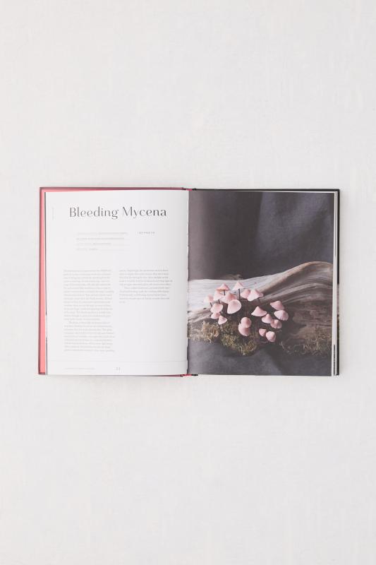 Paper Flowers Extraordinary Botanicals and How to Craft Them