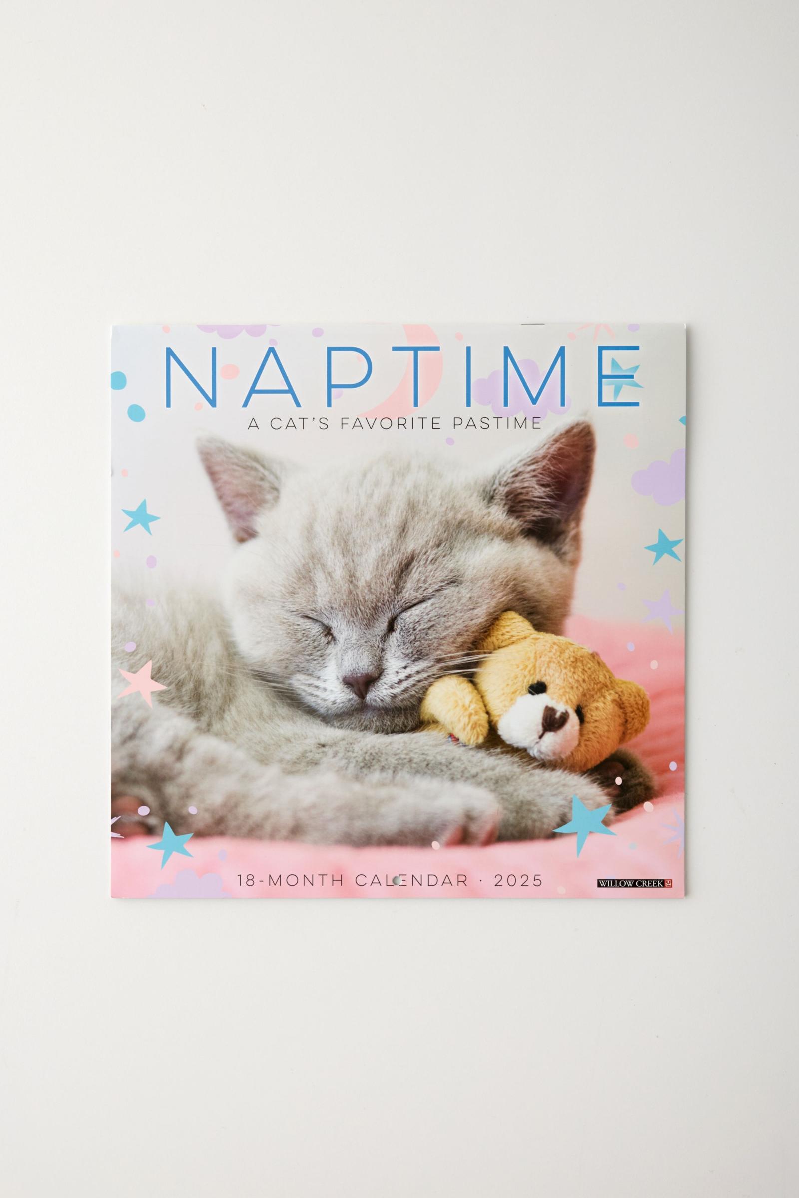 Calendario de pared Naptime Cats 2025 Urban Outfitters México Ropa