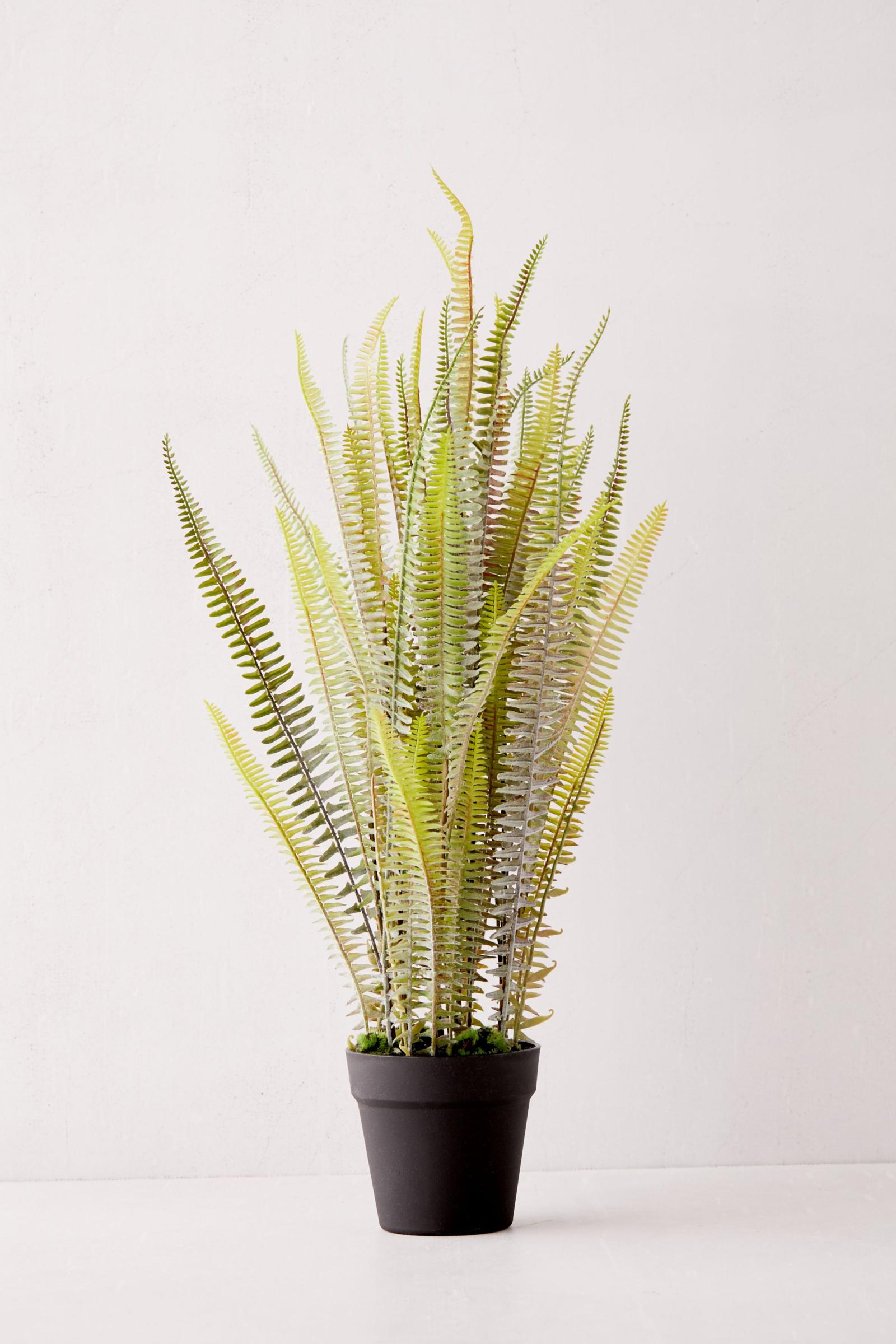 Sword Fern Faux Plant Urban Outfitters Australia