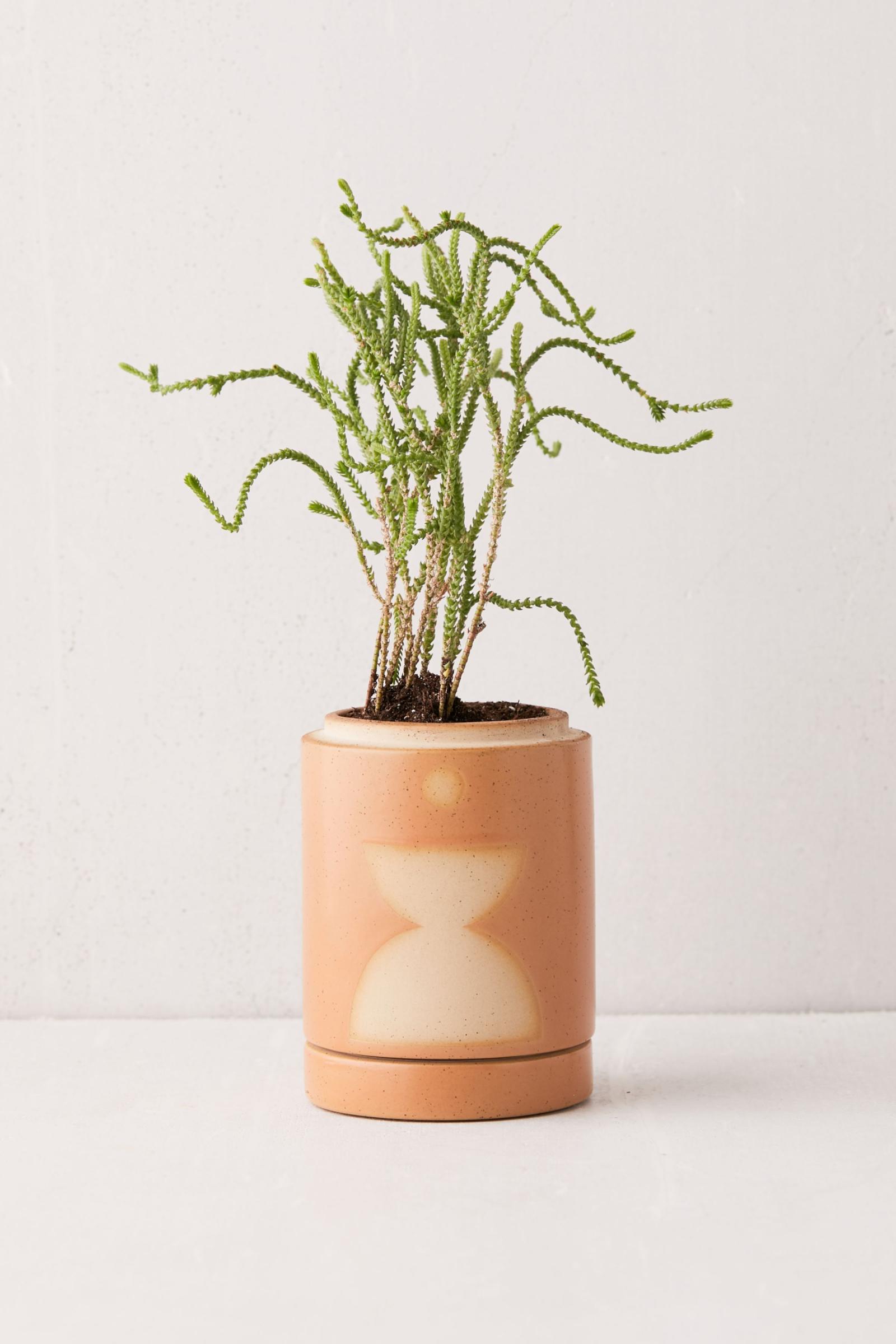 Paddywax Large Form Candle Urban Outfitters Australia